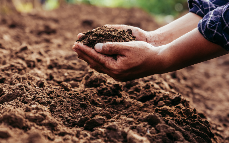 Tailgate | Holistic Soil Health